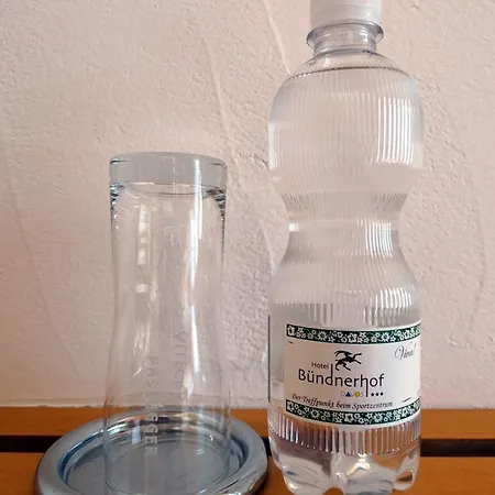فندق Buendnerhof دافوس